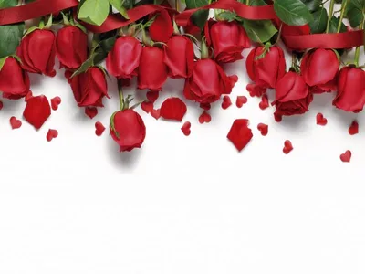 Нереально красивые розы Дэвида Остина: уход и популярные сорта |  Ландшафтный дизайн | Дзен