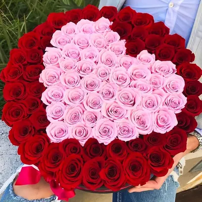 Купить Монобукет «Красивые Розы» с доставкой в Томске - Городские цветы