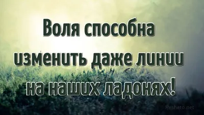 Цитаты великих людей: от Сальвадора Дали до Киану Ривза