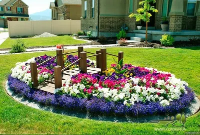 Красивые цветочные клумбы возле дома фото фотографии