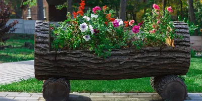 Как красиво оформить палисадник возле частного дома 🌼 | Школа садовода |  Дзен