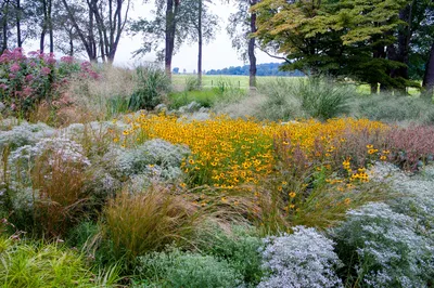 Красивые цветы на даче (100 фото): какие и как лучше посадить? Какие цвет�  | Flowers/Garden-Vegetable Garden/Care/Tips/Feeding | Постила