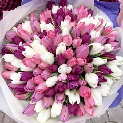 Bouquet of tulips,Букет тюльпанов | Красивые цветы, Цветоводство, Цветы