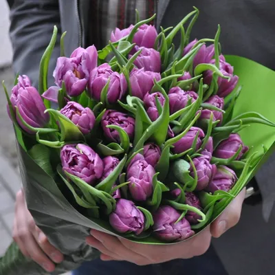 Цветы, #Тюльпаны, #аватары, #картинки, #фото, #авы,  https://avatarko.ru/kartinka/6092 | Тюльпаны, Красивые цветы, Весенние цветы