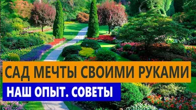 Ландшафтный дизайн дачного участка: 35 фото, идеи для дачи и сада 🏠 |  СтройДизайн