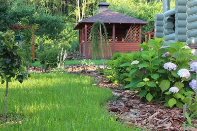 Ландшафтный дизайн садового участка своими руками: 100+ фото | Ландшафтный  дизайн, Идеи озеленения, Ландшафтный дизайн для заднего двора
