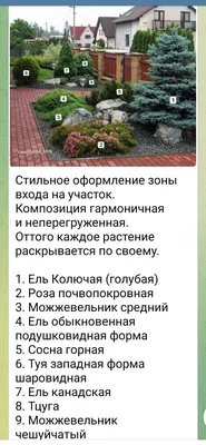 Красивый уголок дачи, мне нравится, а знакомая говорит: беспорядок, а не  ландшафтный дизайн | Белорусские сотки | Дзен