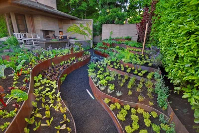 Оформление грядок: дизайн грядок на огороде на даче – фото и идеи как  красиво оформить | Houzz Россия