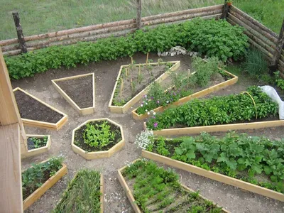 7 интересных идей для дачи и сада, которые можно сделать своими руками  своими руками
