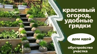 Красивый дизайн на даче своими руками: простые советы | Антонов сад - дача  и огород | Дзен