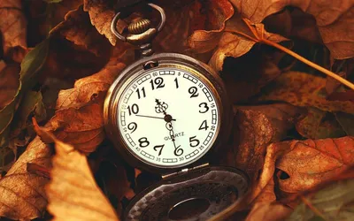 Фото мужских часов на руке в черно-белом исполнении