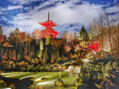 Японский сад в парке «Краснодар» ночью. 10 красивых фото. 31.03.2023 г.  Телеканал «Краснодар»