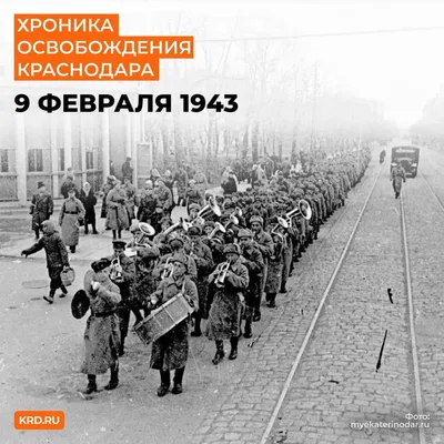 Хуманизация Краснодара: иллюстратор Алексей Рыженко стал звездой после  картинки с рыбками