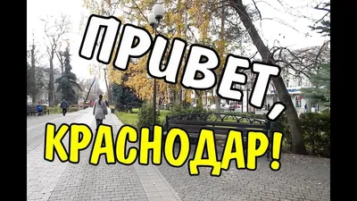 День города Краснодара в картинках