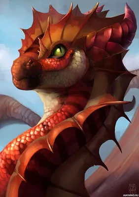 Красивый красный дракон с гребнями на всём теле — Картинки на аву | Рисунки  драконов, Красный дракон, Рисунки