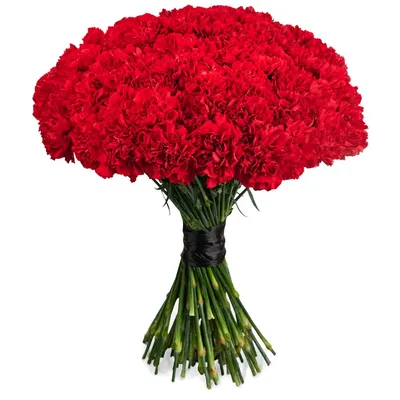 Красные гвоздики по цене 100 ₽ - купить в RoseMarkt с доставкой по  Санкт-Петербургу