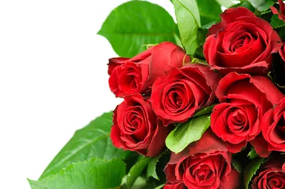 Букет цветов из шаров Красные герберы купить в Москве с доставкой: цена,  фото, описание | Артикул:A-005476