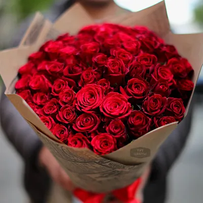 Красные розы | Red roses, Beautiful flowers, Beautiful rose flowers