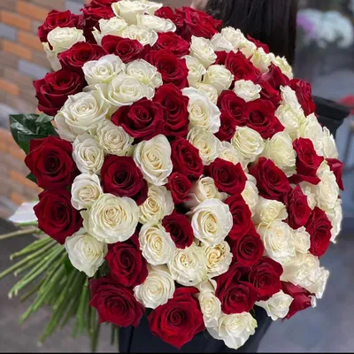 Розы красные и белые доставка в Кемерово | Buklavka42.ru