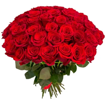 15 красных роз 60 см с эвкалиптом | купить недорого | доставка по Москве и  области | Roza4u.ru