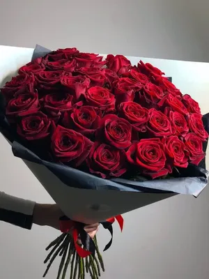Классические красные розы - купить в Москве | Flowerna