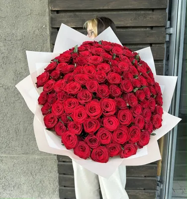 Красные розы фон - 58 фото