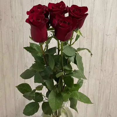 Букет красных роз в стильной упаковке крафт • Доставка букетов в  Санкт-Петербурге