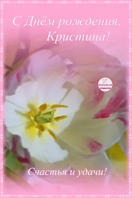 Поздравить с днём рождения красиво и своими словами Кристину - С любовью,  Mine-Chips.ru