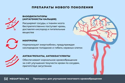 гиф анимация :: сердце :: Анатомия :: Круги кровообращения / смешные  картинки и другие приколы: комиксы, гиф анимация, видео, лучший  интеллектуальный юмор.