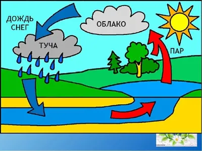 Круговорот воды в природе для детей картинки фотографии