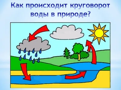 Раскраска круговорот воды в природе круговорот воды в природе изуча...