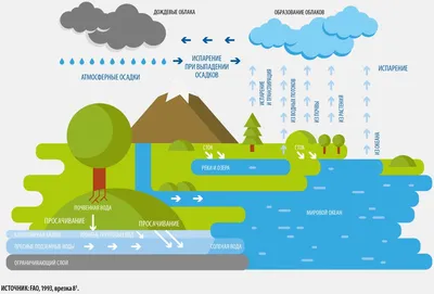 Круговорот воды в природе | Пикабу