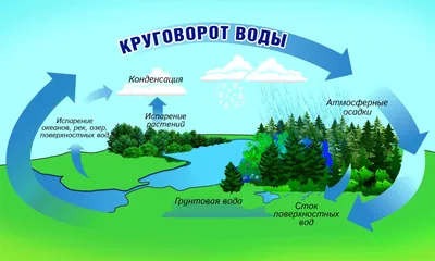 Презентация. Круговорот воды в природе. - Презентации - Дошкольное  образование - Обучение и развитие - ПочемуЧка - Сайт для детей и их  родителей