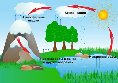 Рисунок круговорот воды в природе рисовать. Простой рисунок природы. Как  нарисовать круговорот воды. Карандаши и краски | Карандаши и краски | Дзен