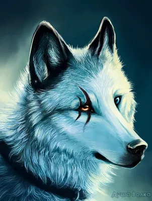 Картинки по запросу крутые волки фото | Wolf painting, Wolf drawing, Wolf  spirit animal