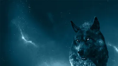 Создать мем \"ледяной волк картинки, крутые волки аватар, фото неонового  волка\" - Картинки - Meme-arsenal.com