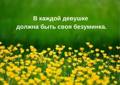 Прикольные статусы на все случаи жизни для социальных сетей: 50+ вариантов