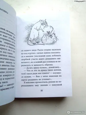 Крысявки. Крысиное житие в байках и картинках, Ольга Громыко - «Все  страннее и страннее (С)» | отзывы