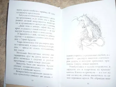 Крысявки. Крысиное житие в байках и картинках, Ольга Громыко - «Все  страннее и страннее (С)» | отзывы