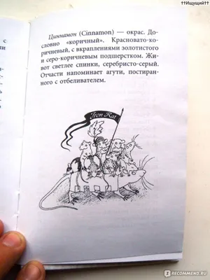 Крысявки. Крысиное житие в байках и картинках, Ольга Громыко - «Все  страннее и страннее (С)» | отзывы