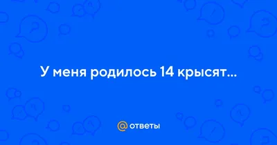 Охота на крыс. : Применение пневматики