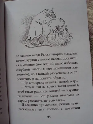 Иллюстрация 8 из 10 для Крысявки. Крысиное житие в байках и картинках -  Ольга Громыко | Лабиринт -