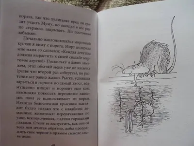 Иллюстрация 6 из 10 для Крысявки. Крысиное житие в байках и картинках -  Ольга Громыко | Лабиринт -