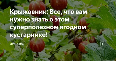 Развиваем ребенка. \"Ягоды\" Ч. 1 | Развивающие занятия для детей | Дзен