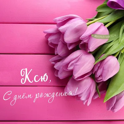 Тюльпаны Ксю | Открытки, С днем рождения, День рождения