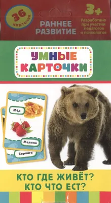 ЭНЦИКЛОПЕДИЯ ДЛЯ ДЕТЕЙ новые. КТО В ЛЕСУ ЖИВЁТ? купить с оптовой базы за  317 руб.