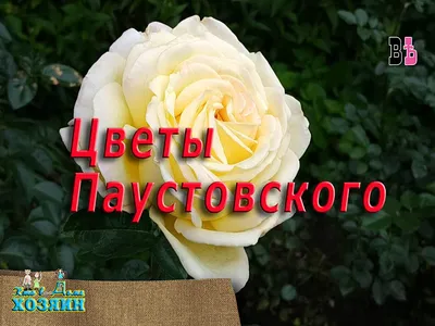 Кто в доме хозяин? (сериал, 1 сезон, все серии), 2006-2008 — описание,  интересные факты — Кинопоиск