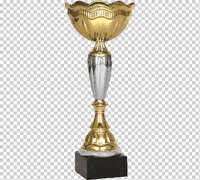 Месси поцеловал Кубок мира - Чемпионат