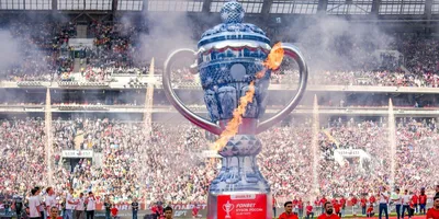 Кубок UEFA артикул 70000082261 купить в Екатеринбурге — интернет-магазин  CHAMOVSKIKH