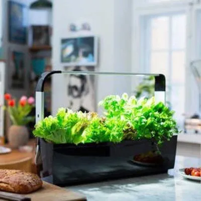 Очаровательное изображение Кухонного Сада, которое напоминает о домашнем уюте 
